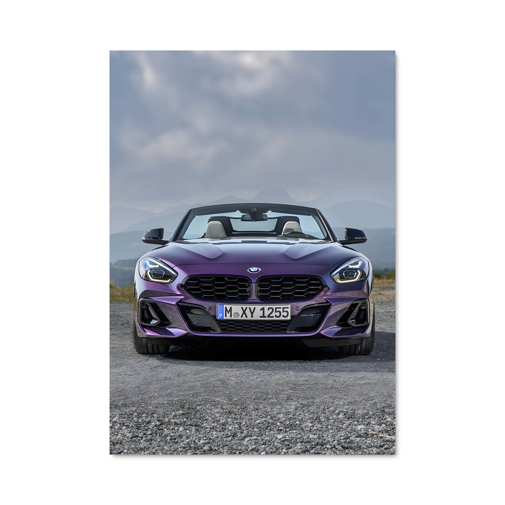 Poster Aston Vibes